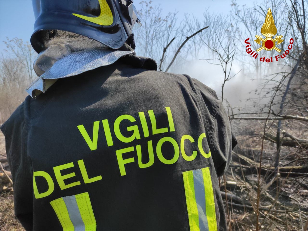 Immagine per Fiamme davanti la centrale elettrica, sterpaglia a fuoco a Gorizia